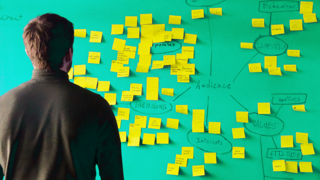 Audience segmentation mapping