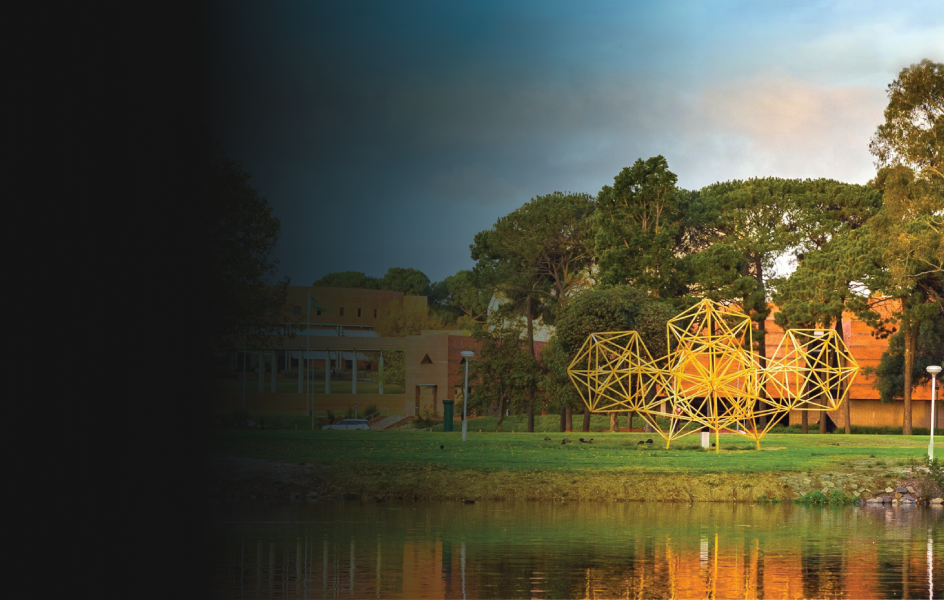 Enhancing Curtin University’s admissions process through automated email campaigns and smart integration
