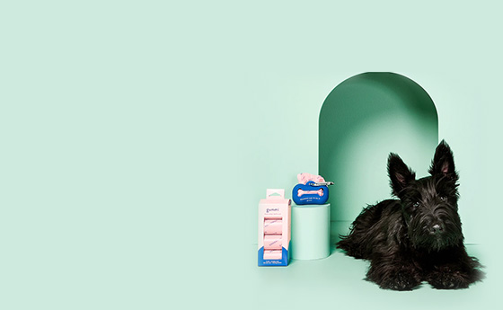 How we increased purchases by 260% with personality-driven Performance Max